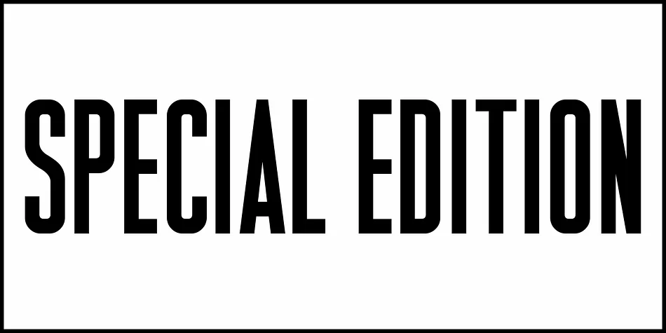 SPECIAL EDITION JNL by Jeff Levine Fonts — Display Font — thumbnail 2