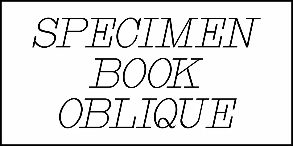 SPECIMEN BOOK JNL by Jeff Levine Fonts — Decorative Font — thumbnail 4