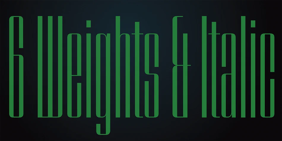 Speedometer by Dharma Type — Display Font — thumbnail 6