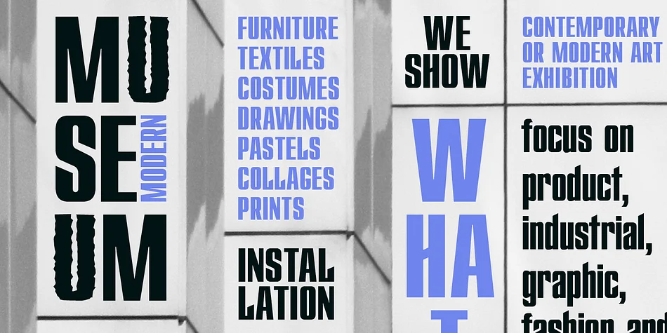 Star by ParaType — Display Font — thumbnail 5