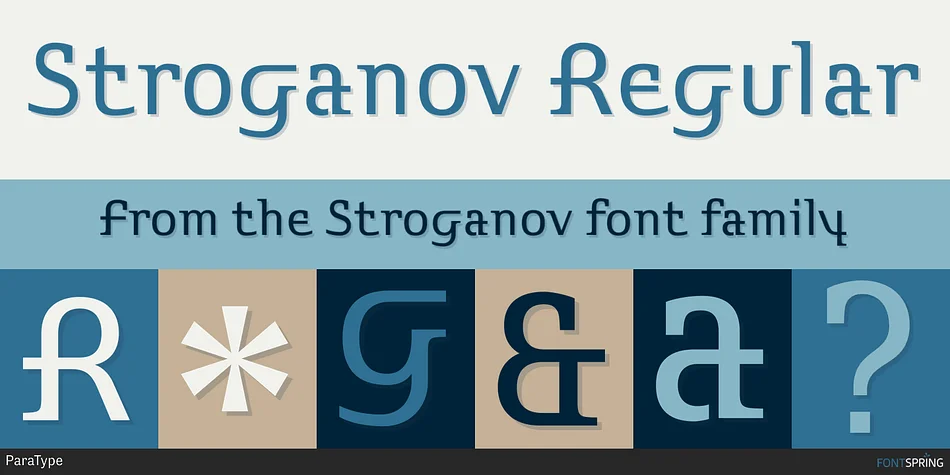 Stroganov by ParaType — Display Font