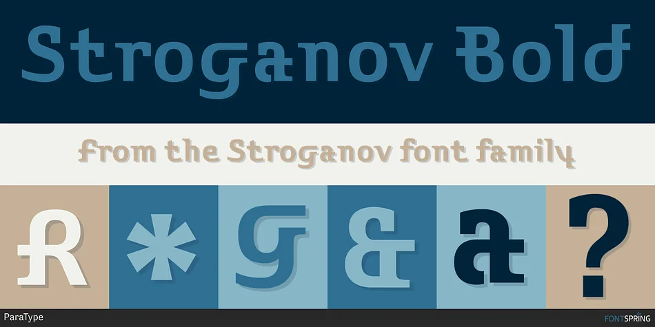 Stroganov by ParaType — Display Font — thumbnail 2