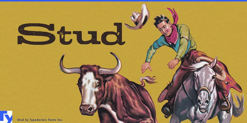 Stud by Typodermic Fonts Inc. — Decorative Font