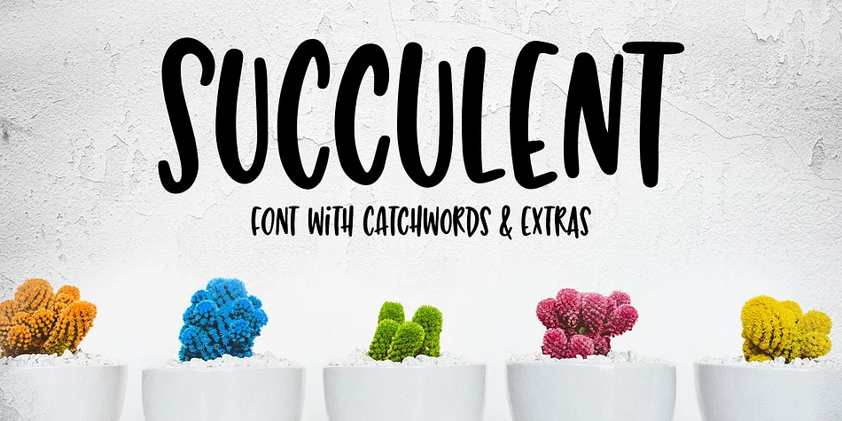 SUCCULENT by Missy Meyer — Display Font
