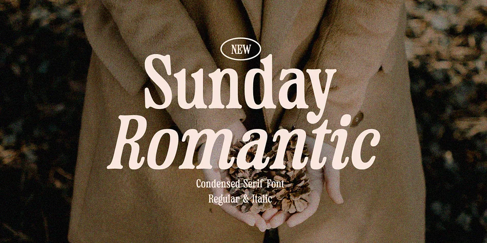 Sunday Romantic by Letterhend Studio β Decorative Font