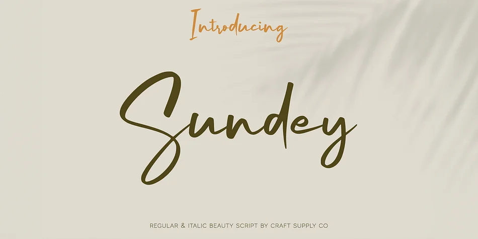 Sundey by Craft Supply Co. — Script Handwritten Font