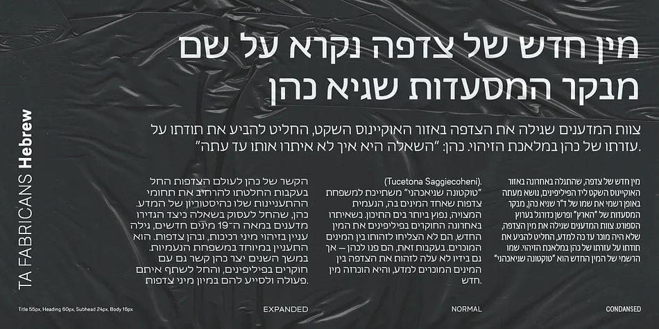 TA Fabricans by TAFT Foundry — Display Font — thumbnail 3