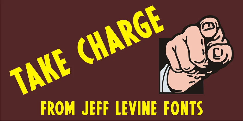 TAKE CHARGE JNL by Jeff Levine Fonts — Display Font