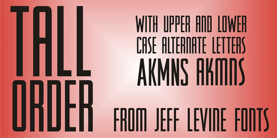 TALL ORDER JNL by Jeff Levine Fonts — Display Font