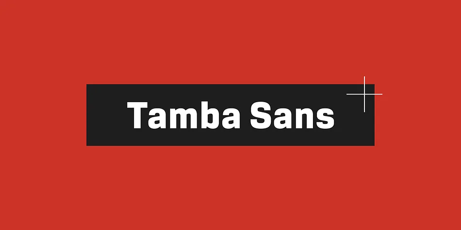 Tamba Sans by Dharma Type — Display Font
