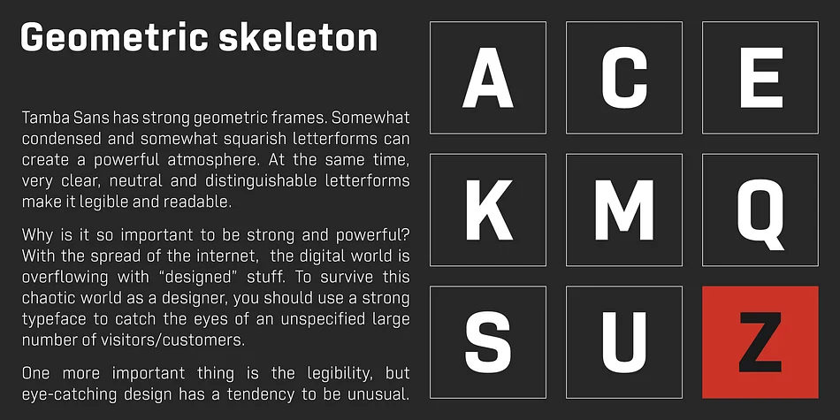 Tamba Sans by Dharma Type — Display Font — thumbnail 2