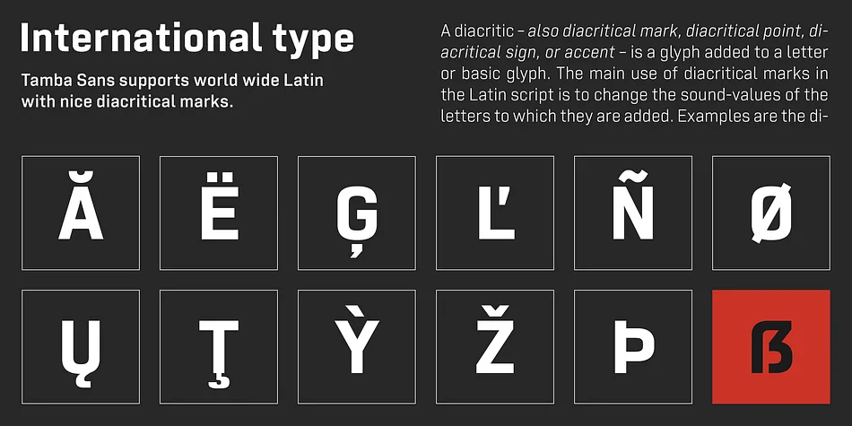 Tamba Sans by Dharma Type — Display Font — thumbnail 5