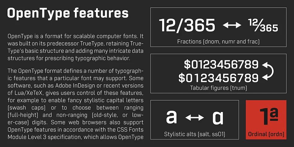 Tamba Sans by Dharma Type — Display Font — thumbnail 7