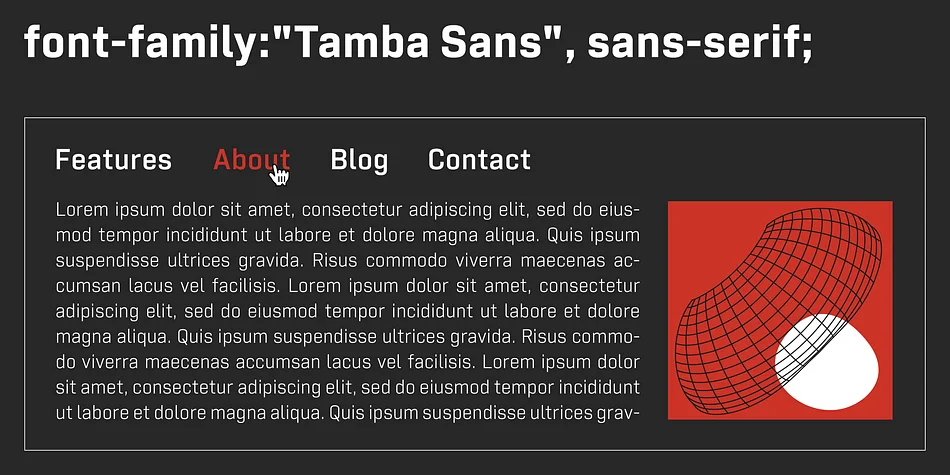 Tamba Sans by Dharma Type — Display Font — thumbnail 8