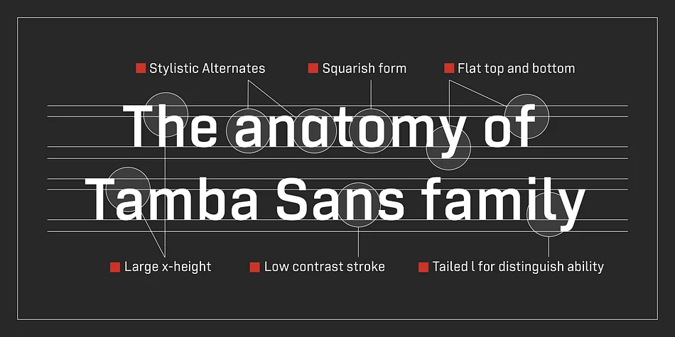 Tamba Sans by Dharma Type — Display Font — thumbnail 9