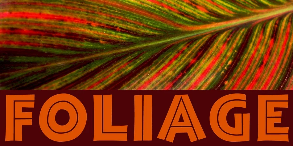 TAMBOR by CastleType — Display Font — thumbnail 4