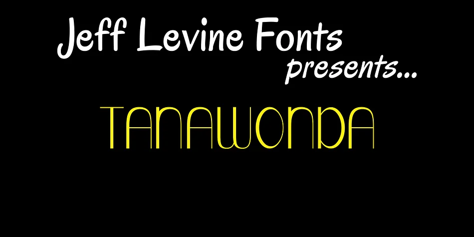 TANAWONDA JNL by Jeff Levine Fonts — Display Font