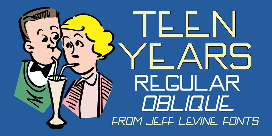 TEEN YEARS JNL by Jeff Levine Fonts — Display Font