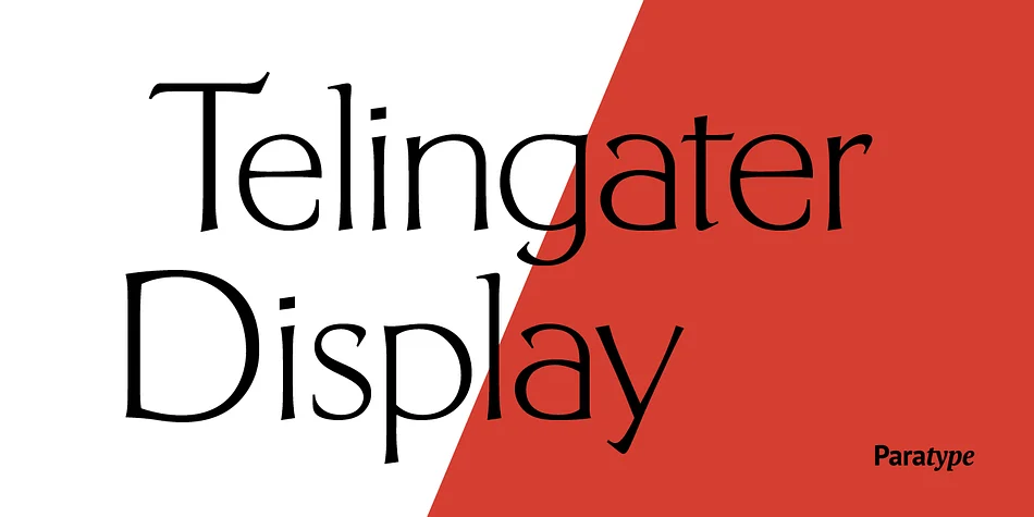 Telingater Display by ParaType — Display Font