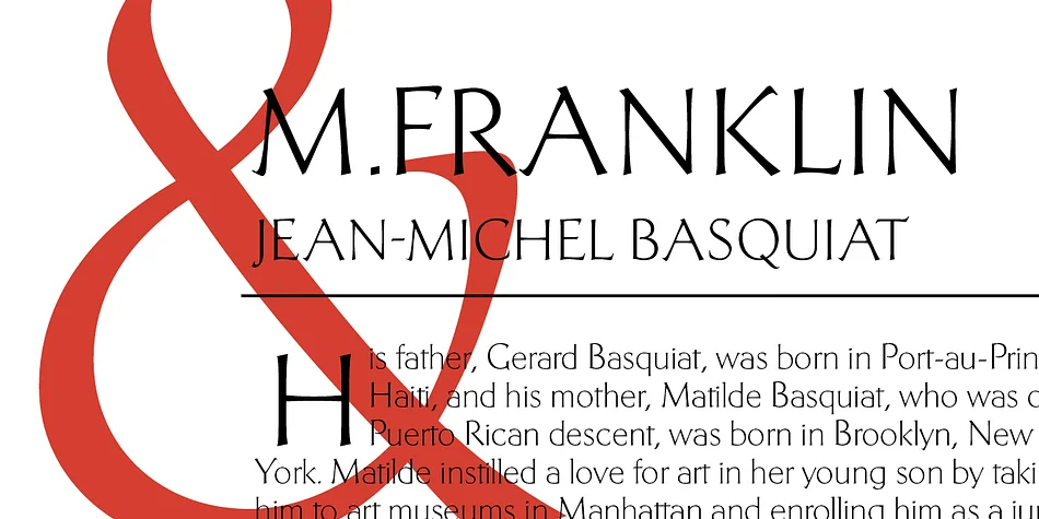 Telingater Display by ParaType — Display Font — thumbnail 2