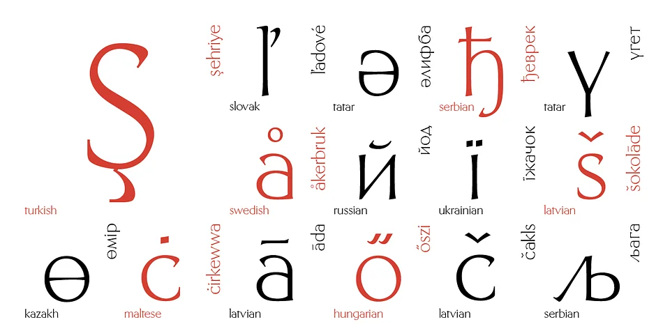 Telingater Display by ParaType — Display Font — thumbnail 3