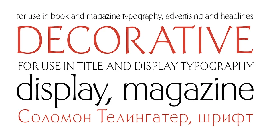Telingater Display by ParaType — Display Font — thumbnail 5