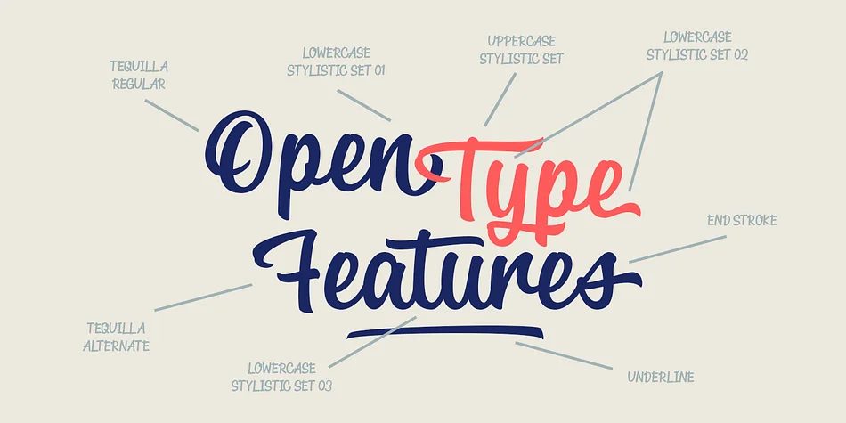Tequilla Script by Alphabeta — Script Handwritten Font — thumbnail 8