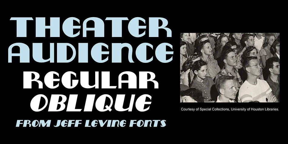 THEATER AUDIENCE JNL by Jeff Levine Fonts — Display Font