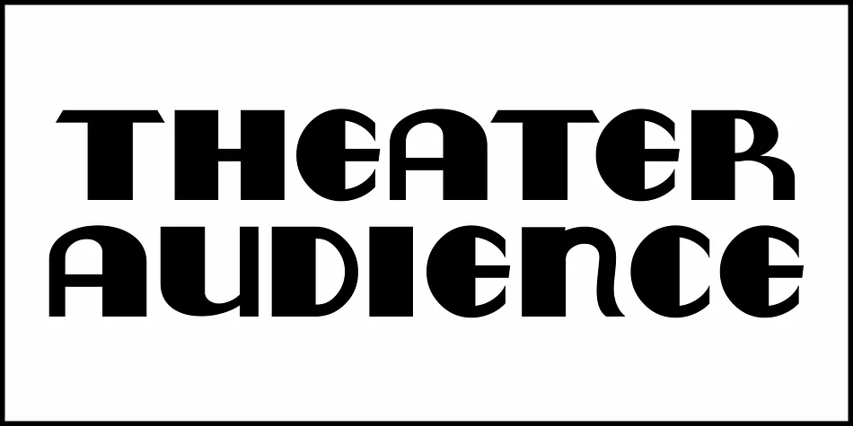 THEATER AUDIENCE JNL by Jeff Levine Fonts — Display Font — thumbnail 2