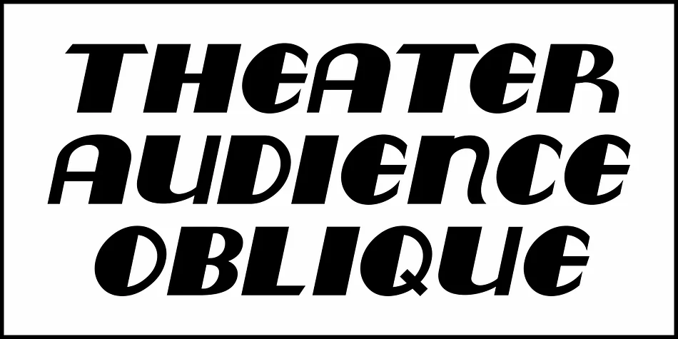 THEATER AUDIENCE JNL by Jeff Levine Fonts — Display Font — thumbnail 4