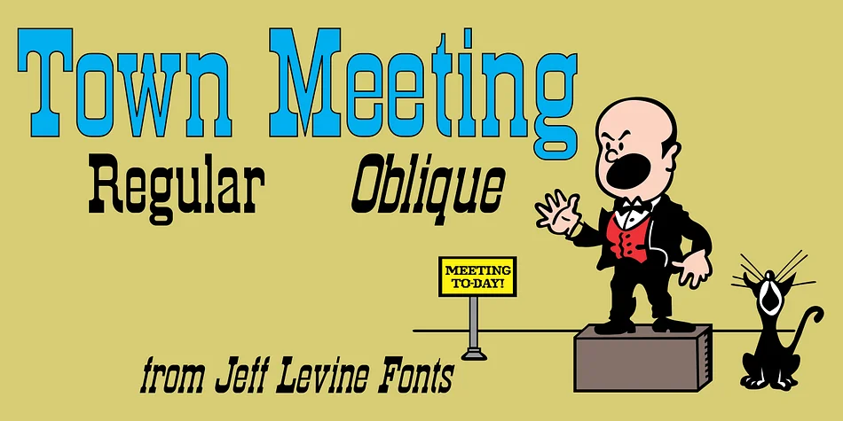 Town Meeting JNL by Jeff Levine Fonts — Decorative Font