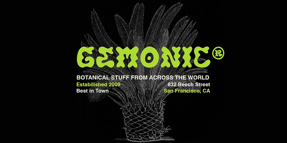 Triompe by Craft Supply Co. — Display Font — thumbnail 2