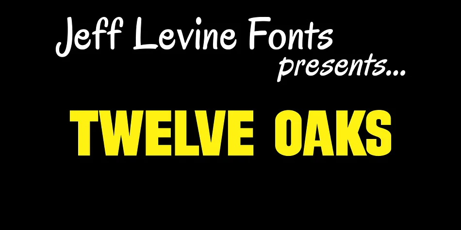 TWELVE OAKS JNL by Jeff Levine Fonts — Display Font
