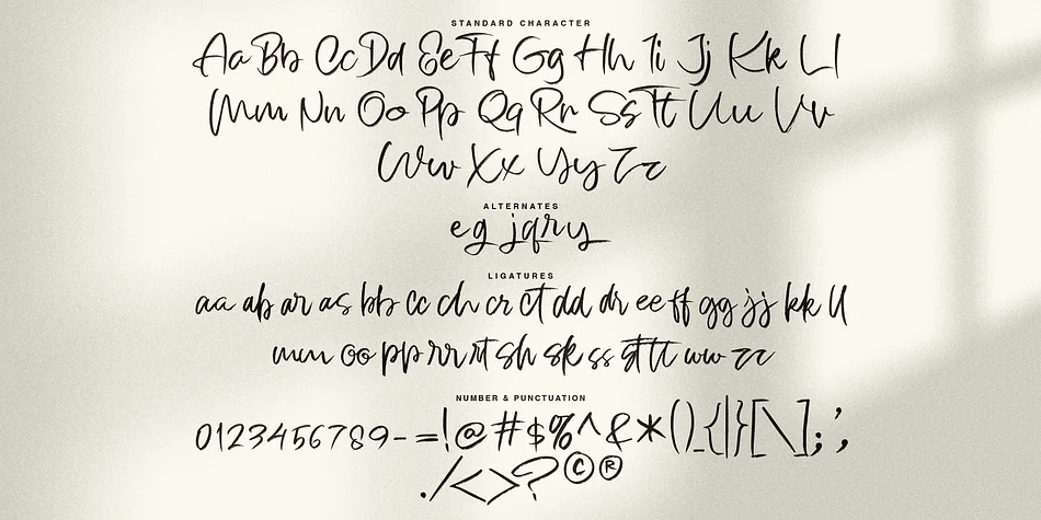 Twilight Stroke by Jolicia Type — Script Handwritten Font — thumbnail 7