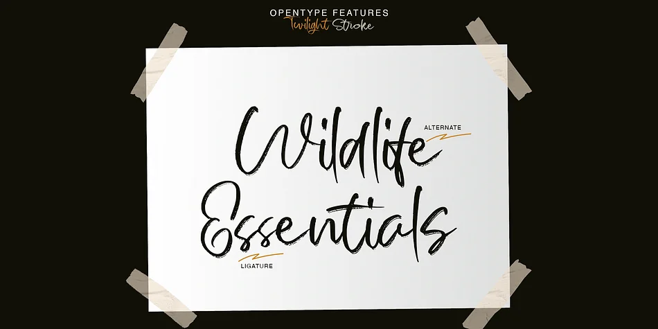 Twilight Stroke by Jolicia Type — Script Handwritten Font — thumbnail 8