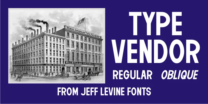 TYPE VENDOR JNL by Jeff Levine Fonts — Display Font