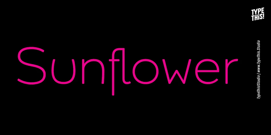 Umba Soft by TypeThis!Studio — Display Font — thumbnail 4
