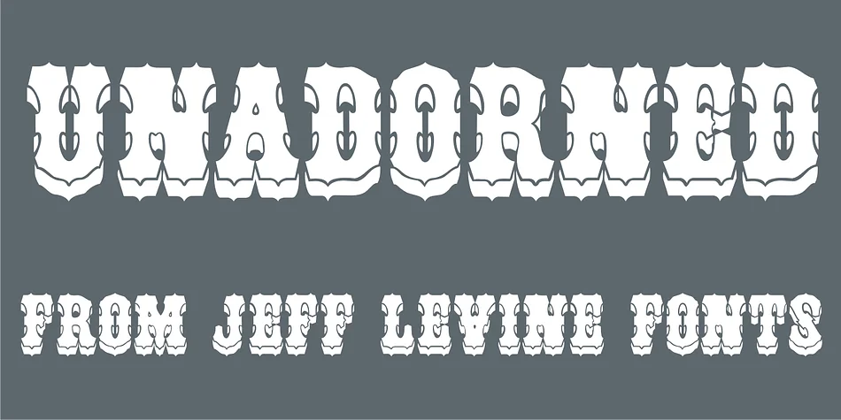 UNADORNED JNL by Jeff Levine Fonts — Decorative Font