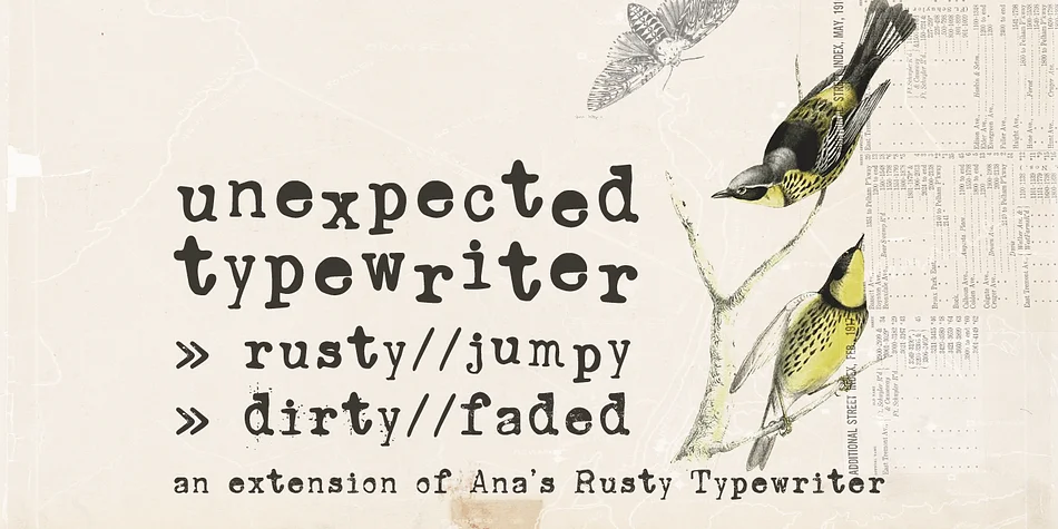 Unexpected Typewriter by Ana's Fonts โ Decorative Font