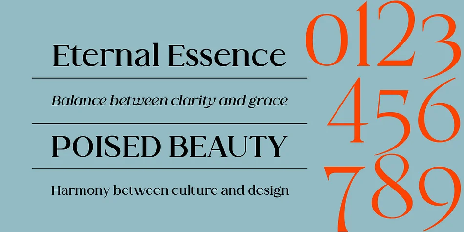 Valore Pro by Nollev — Display Font — thumbnail 10