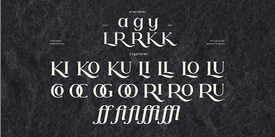Valore Pro by Nollev — Display Font — thumbnail 2