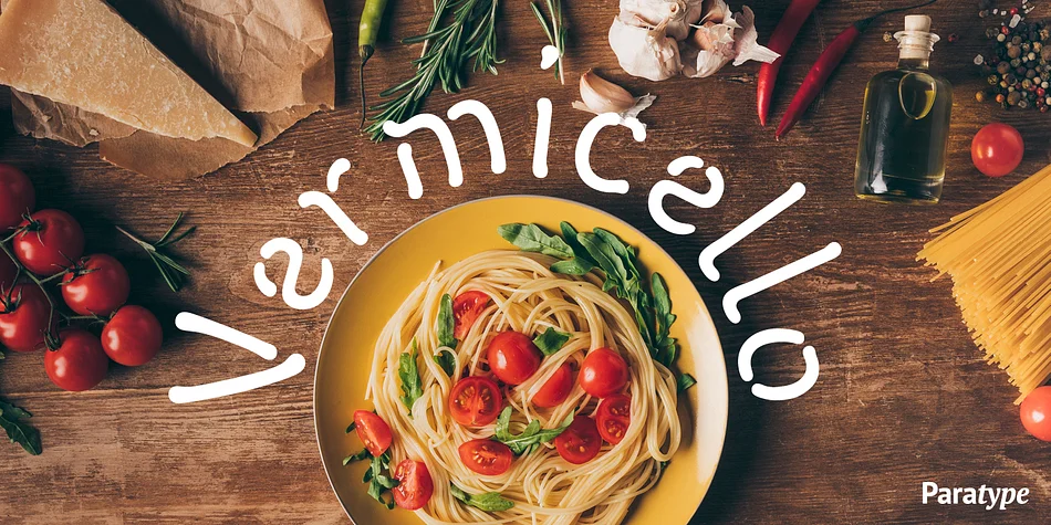 Vermicello by ParaType — Display Font