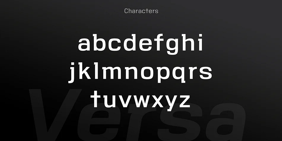 VersaBlock Pro by Parker Creative — Display Font — thumbnail 10