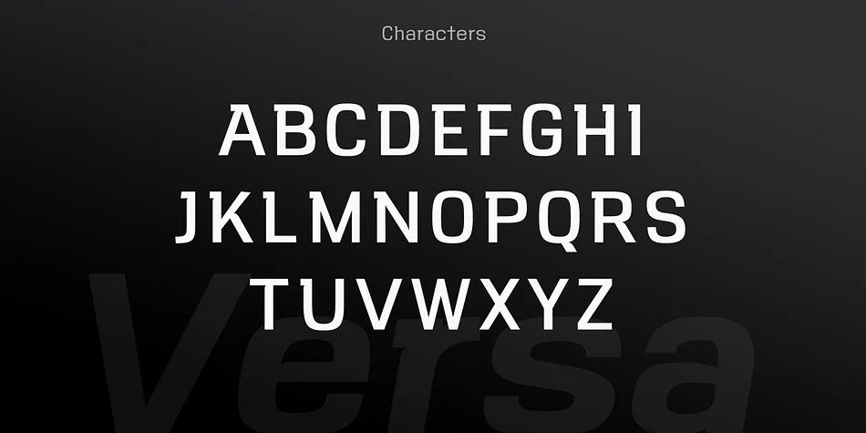 VersaBlock Pro by Parker Creative — Display Font — thumbnail 9
