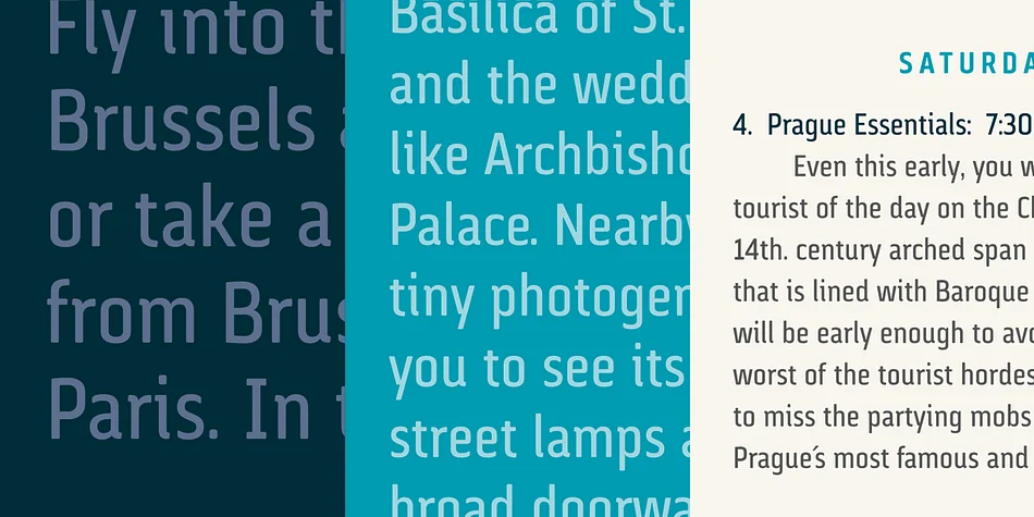 Via Sans by Latinotype — Dingbats Font — thumbnail 2