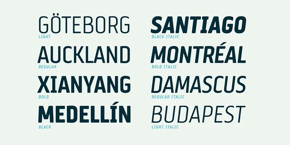 Via Sans by Latinotype — Dingbats Font — thumbnail 3
