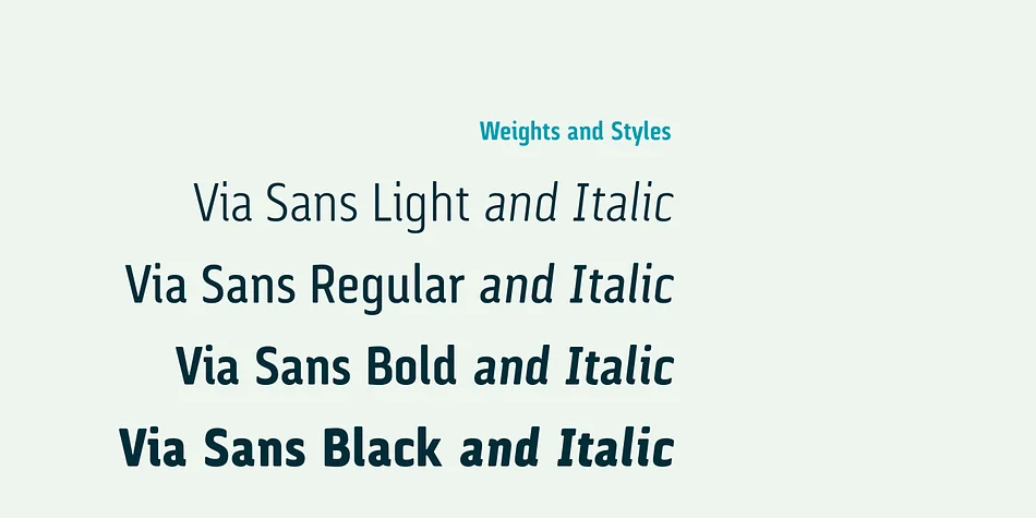 Via Sans by Latinotype — Dingbats Font — thumbnail 9