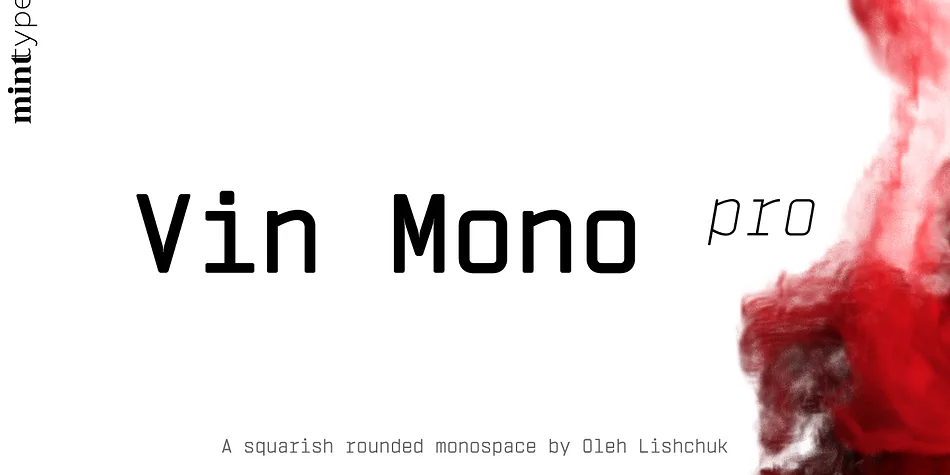 Vin Mono Pro by Mint Type — Decorative Font