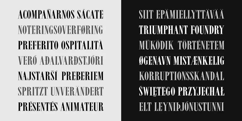 VINCENZO by CastleType — Display Font — thumbnail 7