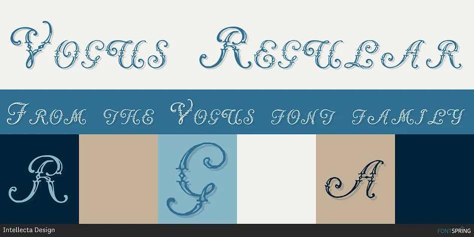 Vogus by Intellecta Design — Decorative Font